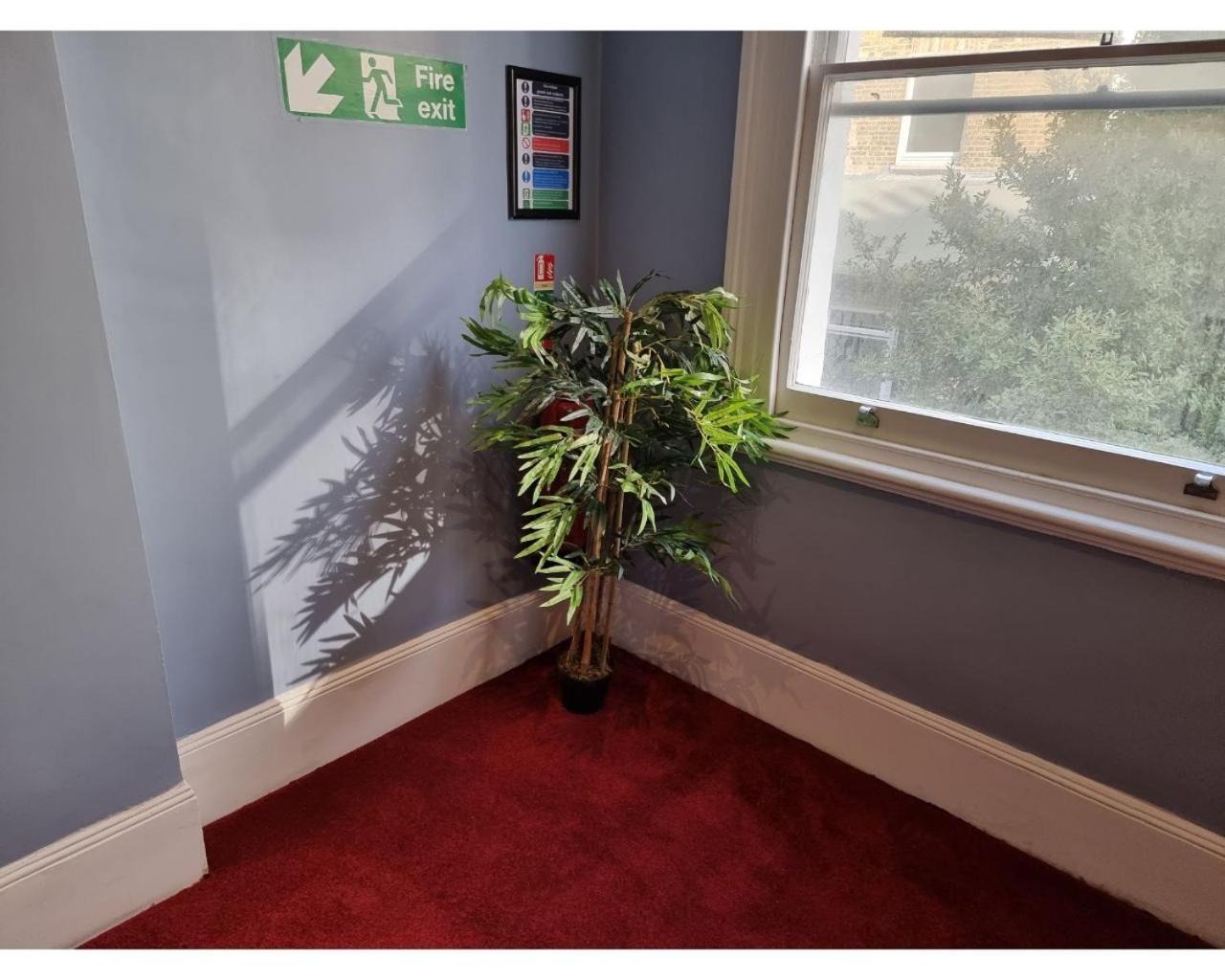 伦敦Fg1- Ground Flr Flat Good For 4- Near Hyde Park公寓 外观 照片
